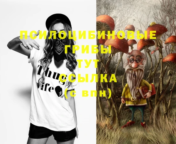 ECSTASY Россошь